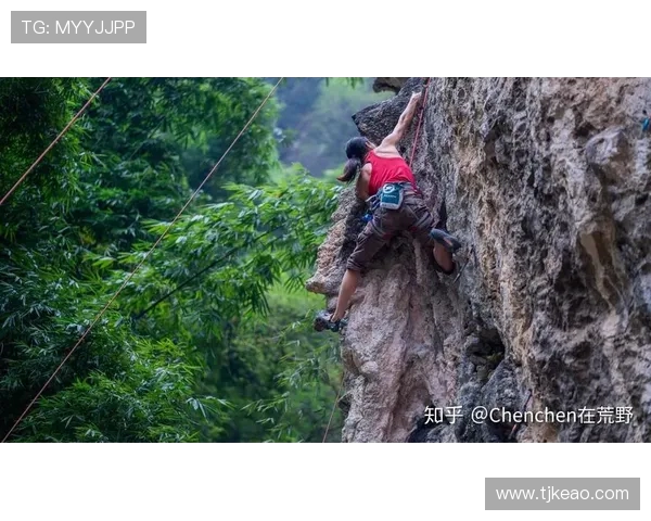从零到高手：全面解析攀岩技巧与训练方法的终极指南