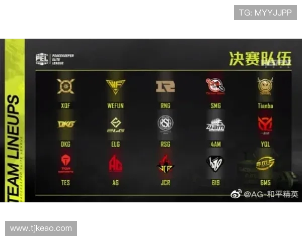 和平精英专题深入分析TES战队心理素质对比赛表现的影响与提升策略